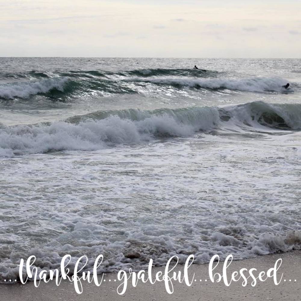 Meet your Posher, Tami